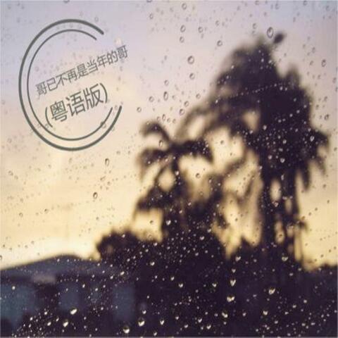 哥已不再是当年的哥