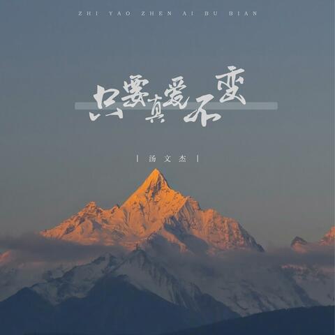 只要真爱不变