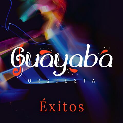 Guayaba Orquesta Éxitos, Vol. 1