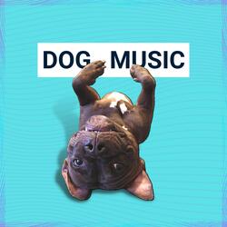 relaxing music for dogs