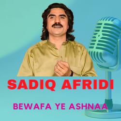 Bewafa Ye Ashnaa