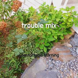 trouble mix