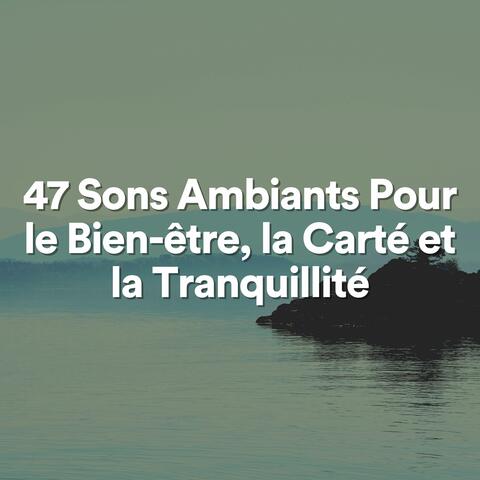 47 Sons Ambiants Pour le Bien-être, la Carté et la Tranquillité