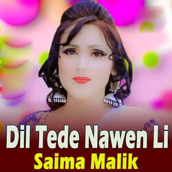 Dil Tede Nawen Li
