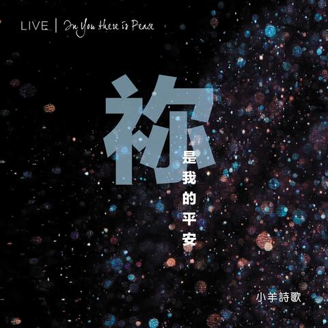 祢是我的平安