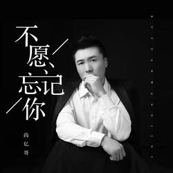 不愿忘记你