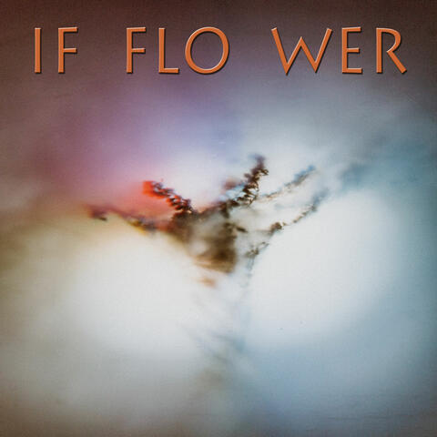 IF FLO WER