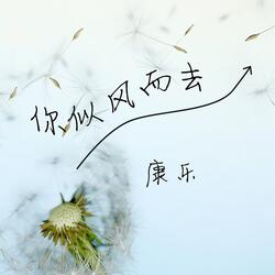 你似风而去