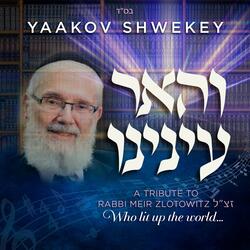 והאר עינינו