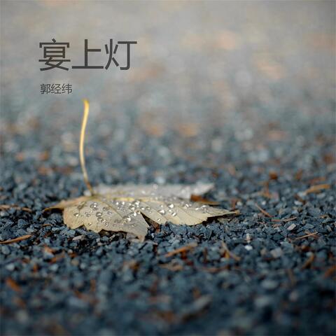 宴上灯