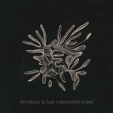 Extended Noise