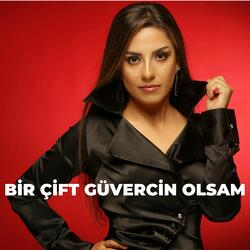 Bir Çift Güvercin Olsam
