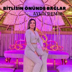 Bitlisin Önünde Bağlar