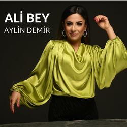 Ali Bey