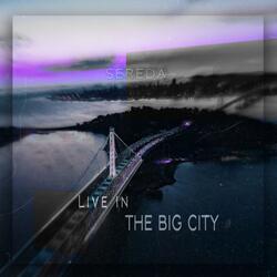 Live in the big city