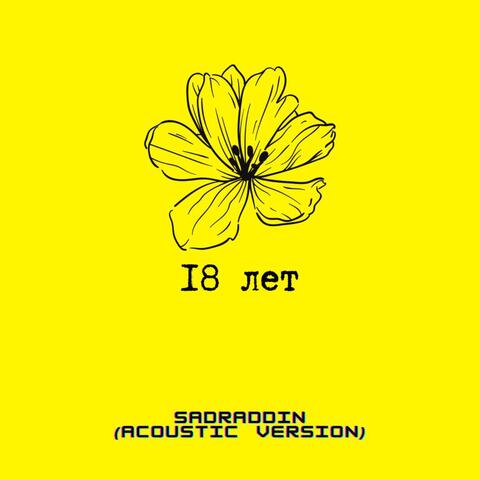 18 лет