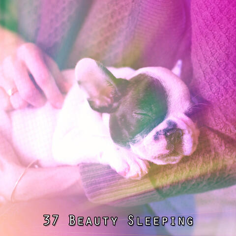 37 Beauty Sleeping
