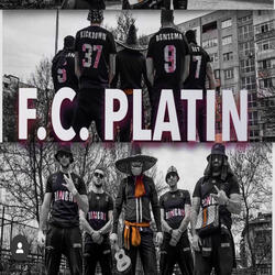 PLATIN