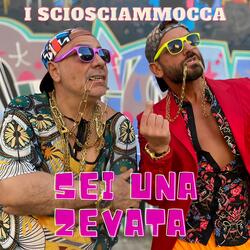 Sei una zevata