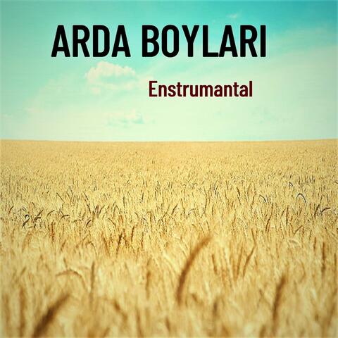 Arda Boyları
