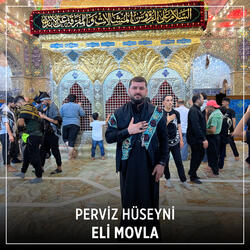 Eli Movla