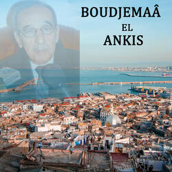 Houbek seltan jesdi