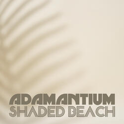 Shaded Beach
