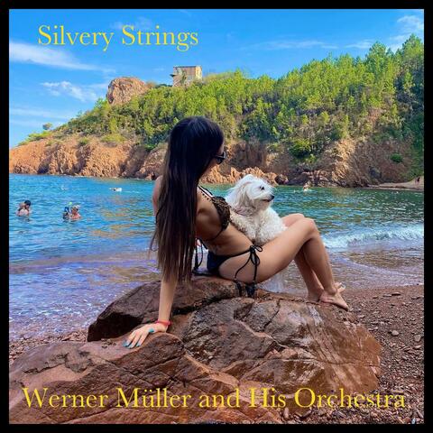 Werner Müller & His Orchestra