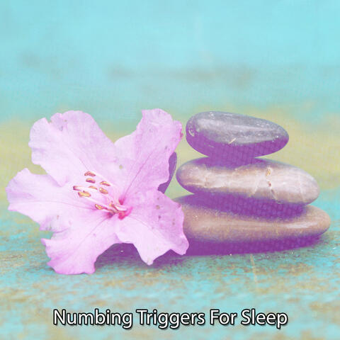 Numbing Triggers For Sleep