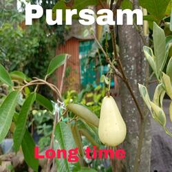Long time