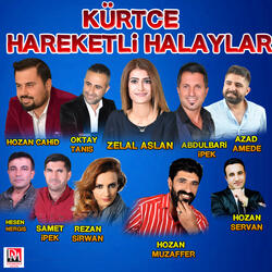 Şerinamın