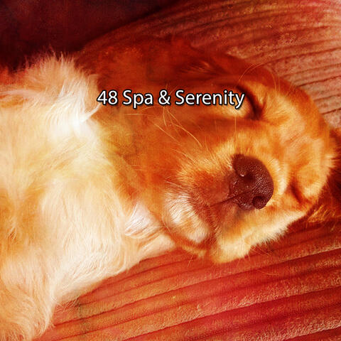 48 Spa & Serenity