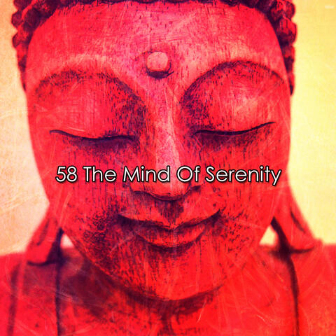 58 The Mind Of Serenity