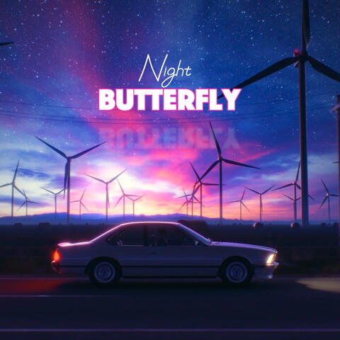 Night Butterfly