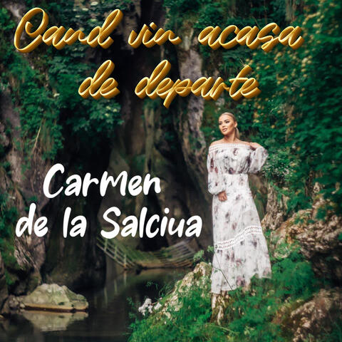 Cand vin acasa de departe
