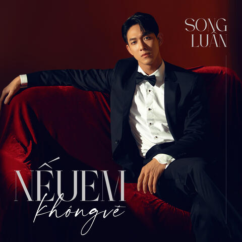 Nếu Em Không Về