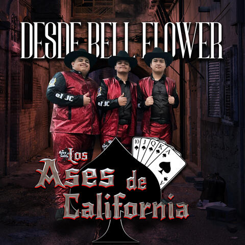 Desde Bellflower