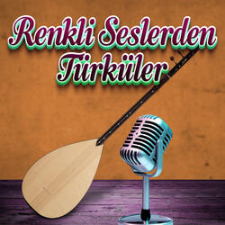 İncecikten Bir Kar Yağar