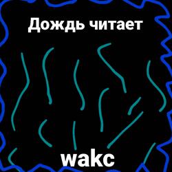 Дождь читает