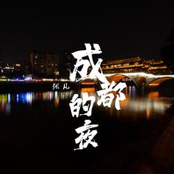 成都的夜