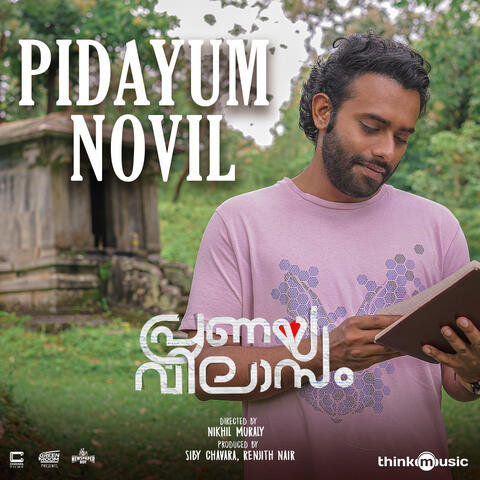 Pidayum Novil