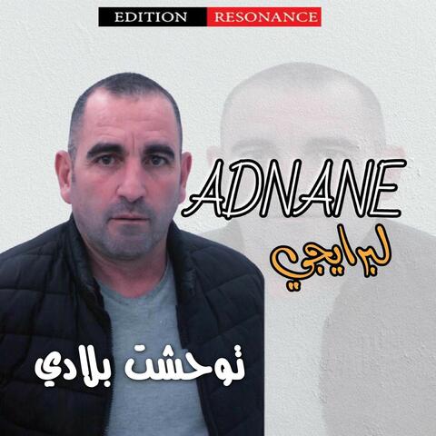 توحشت بلادي