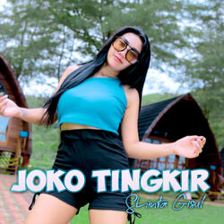 Joko Tingkir