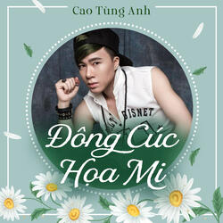 Đông Cúc Họa Mi