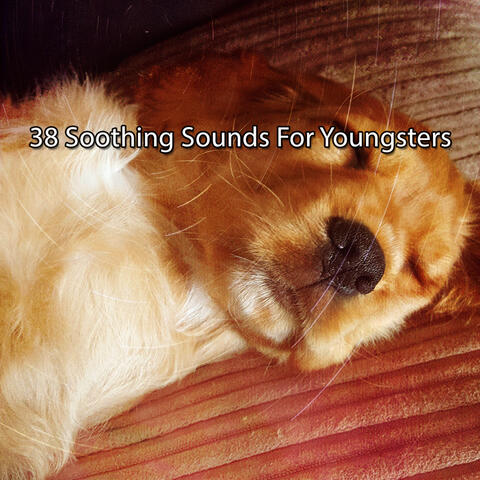 38 Soothing Sounds For Youngsters