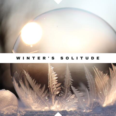 Winter's Solitude