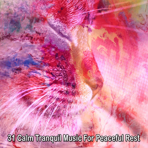 31 Calm Tranquil Music For Peaceful Rest