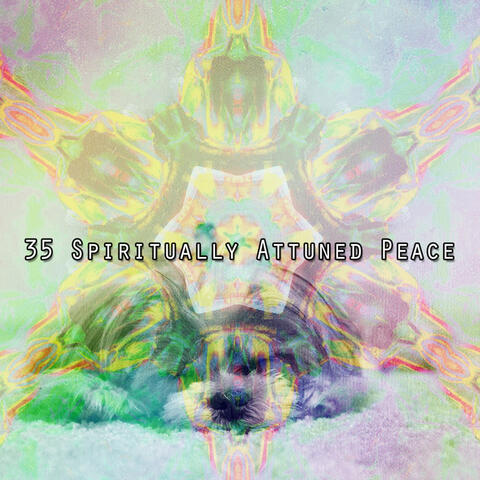 35 Spiritually Attuned Peace