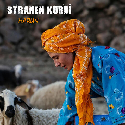 Harun