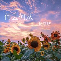 不要再回来